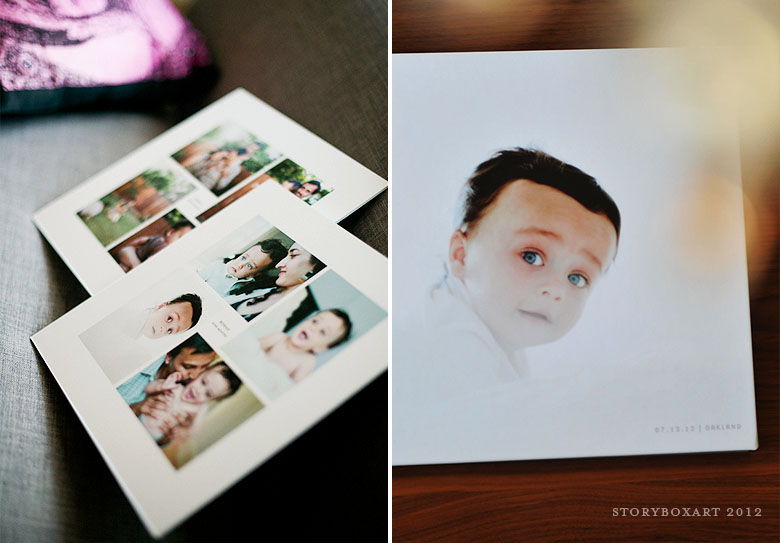 San Francisco Family Portrait Session Album